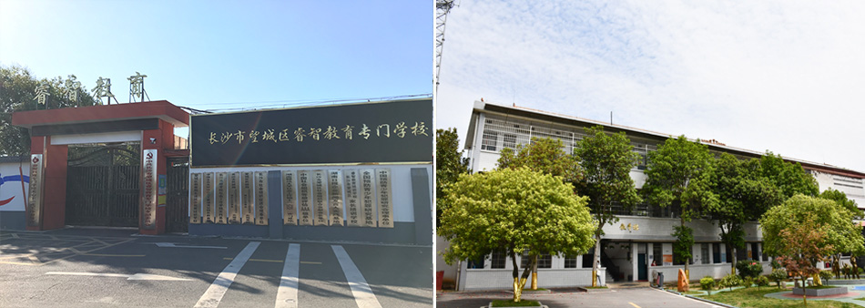 睿智简介(图1)