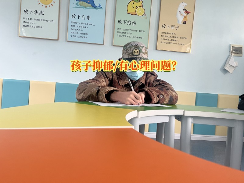 心理辅导学校,抑郁症治疗学校