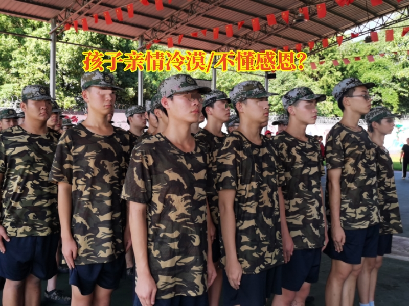 问题孩子学校,青少年特训学校