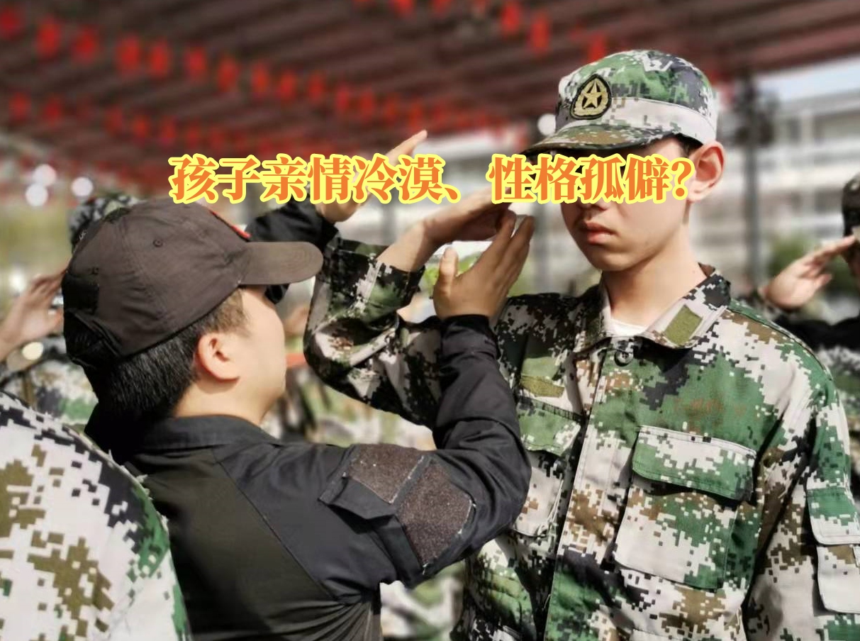 青少年教育学校,问题孩子学校