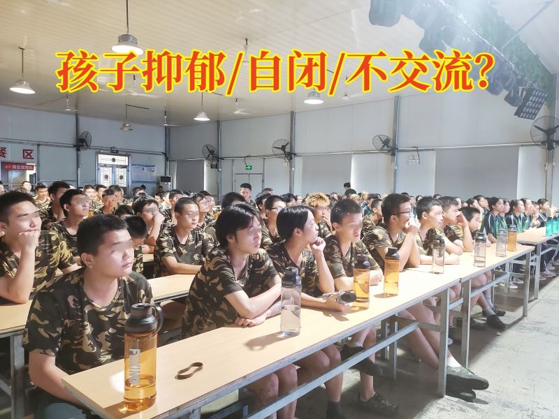 心理辅导学校,心理咨询机构