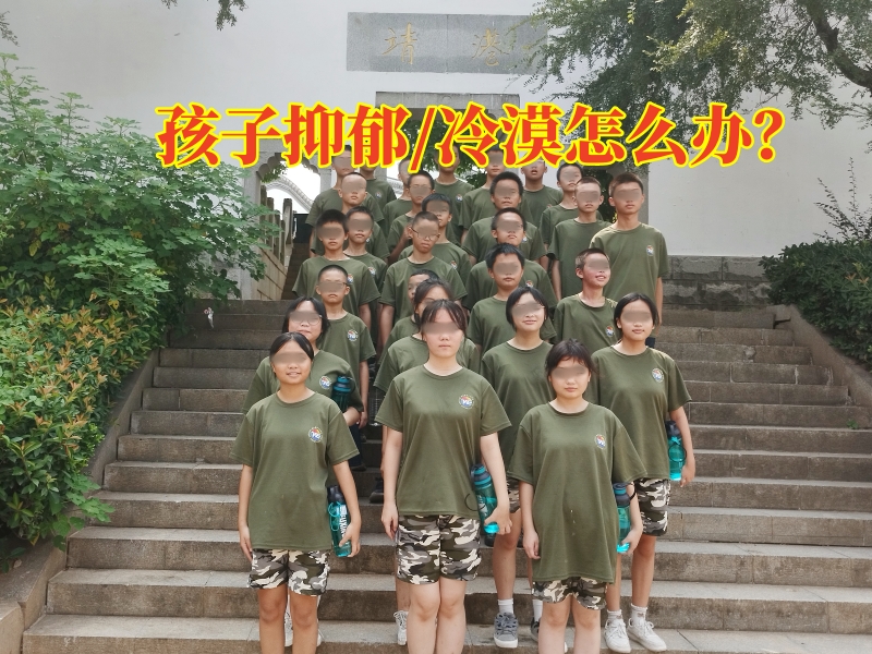 心理辅导学校,心理问题孩子学校