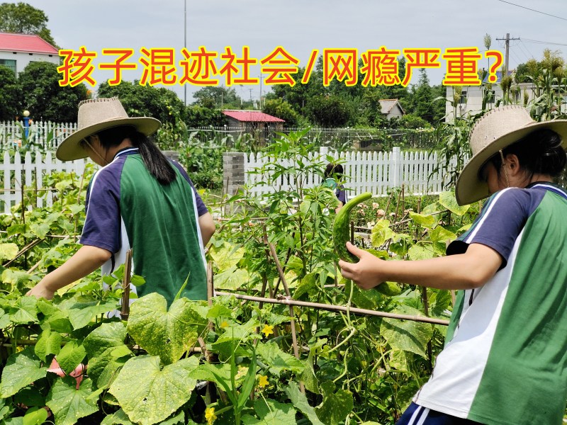 戒网瘾学校,戒网瘾教育学校