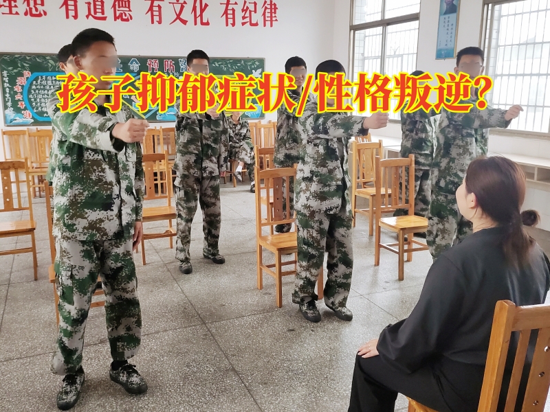 心理辅导学校,心理问题孩子学校