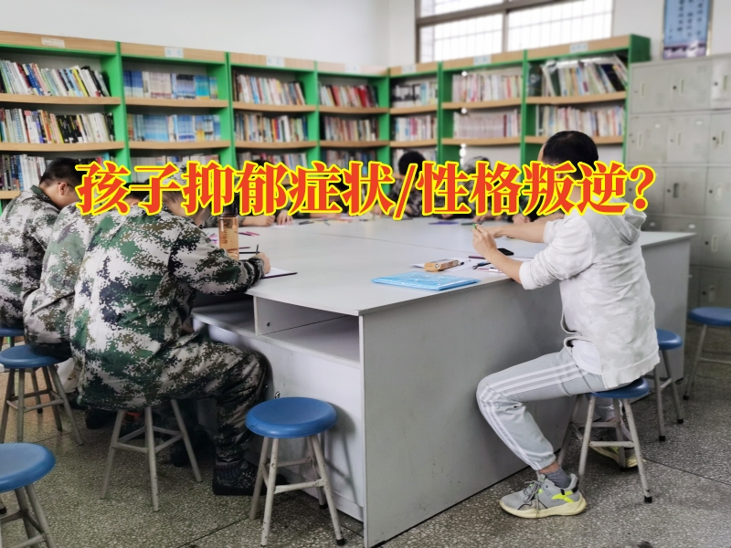 心理辅导学校,心理问题孩子学校