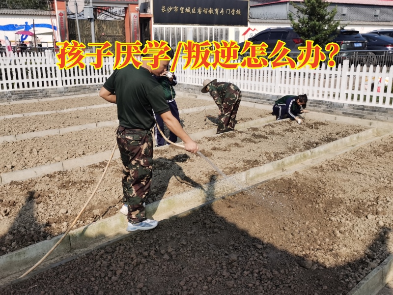 厌学孩子学校,孩子厌学教育学校
