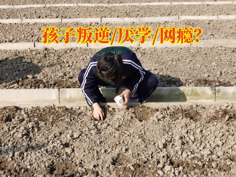 叛逆孩子学校,叛逆教育学校