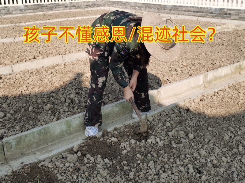 感恩教育学校,青少年教育学校