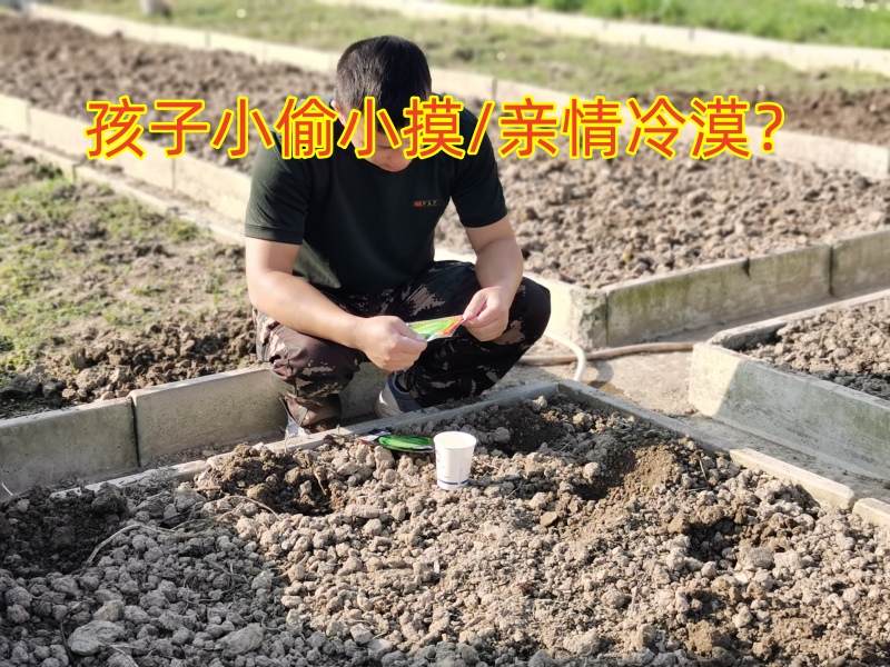 叛逆孩子学校,叛逆教育学校