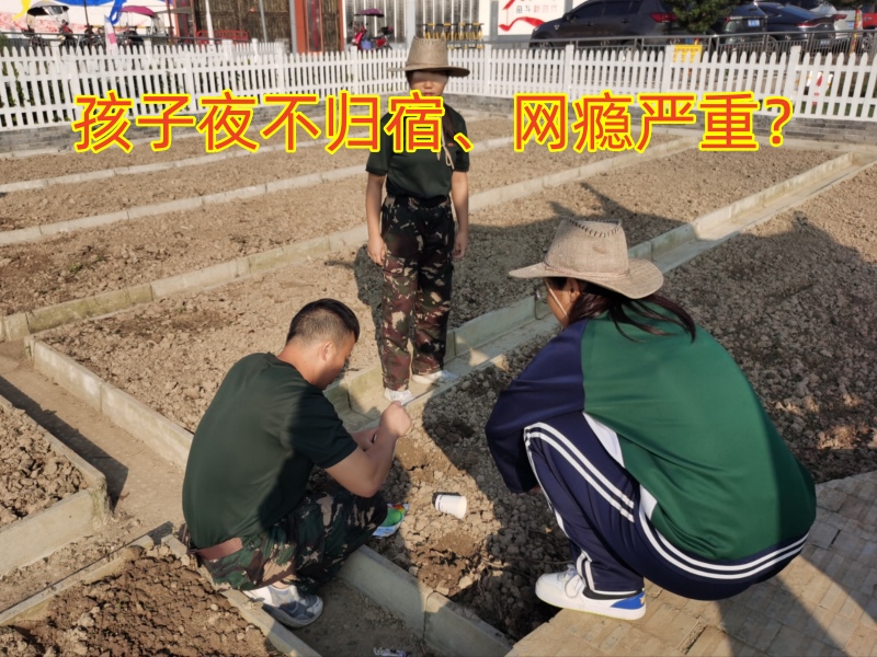 青少年特训学校,特训学校