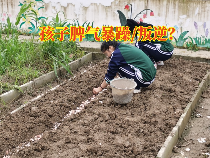 衡阳少年管教学校建议这样改善孩子脾气暴躁