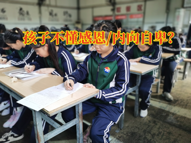 青少年素质教育基地对孩子不懂感恩的原因分析