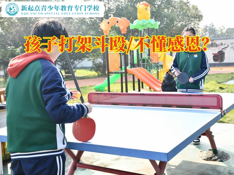 专管叛逆孩子的学校,叛逆孩子的学校