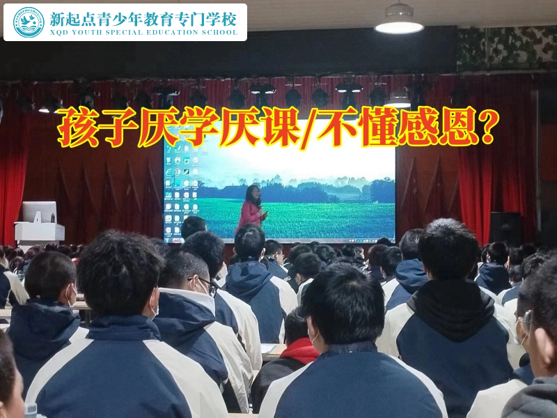 青少年全封闭学校建议这样教育学习态度差的初中孩子