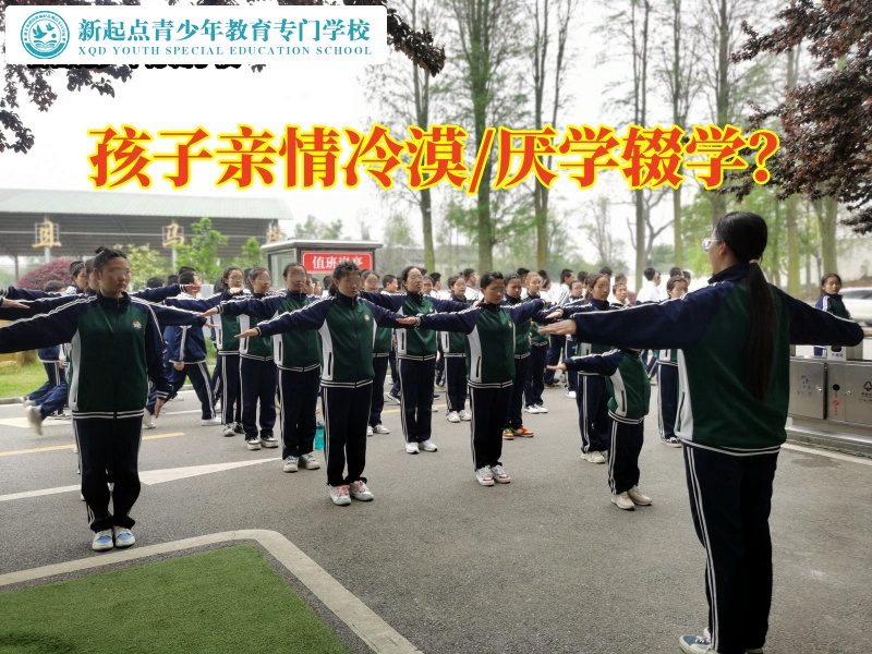 少年封闭式特训教育学校分析孩子对家人无情的原因