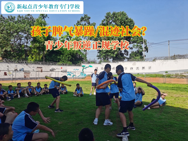 青少年叛逆正规学校教育脾气暴躁孩子