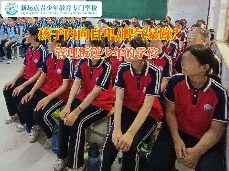 管理叛逆少年的学校帮助孩子克服自卑心理