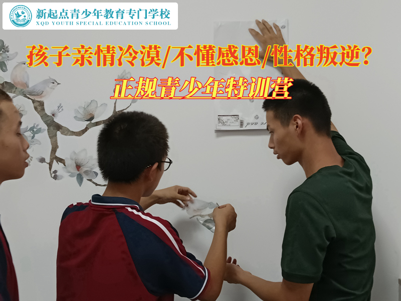 正规青少年特训营分析亲情冷漠的原因.jpg