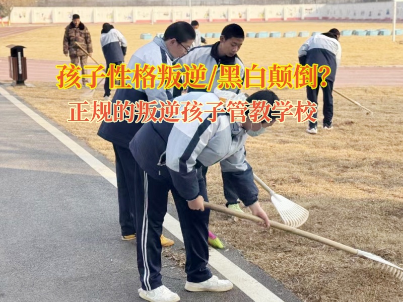 正规的叛逆孩子管教学校分析黑白颠倒的原因