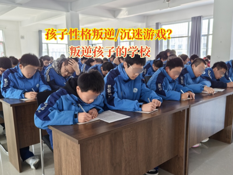 叛逆孩子的学校让青少年不再沉迷游戏