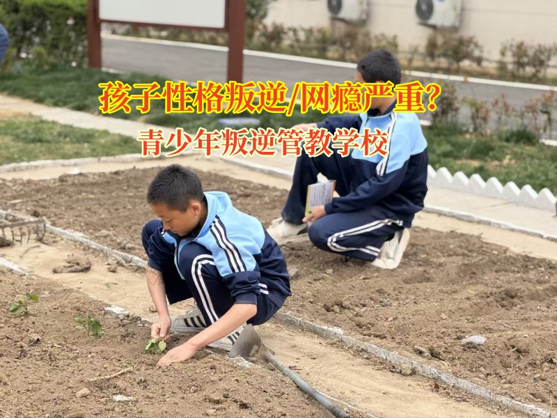 青少年叛逆管教学校矫正孩子沉迷网络小说