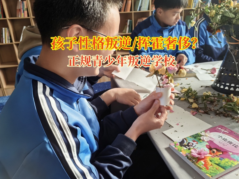 正规青少年叛逆学校教育孩子抵制不必要消费