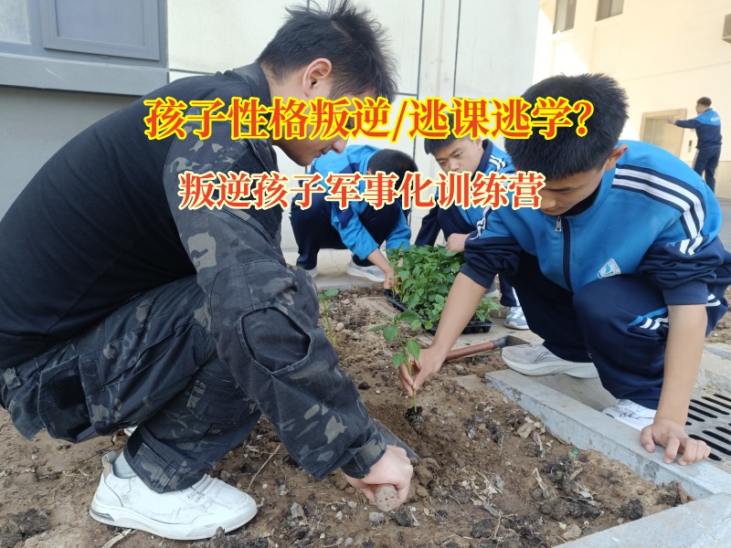 叛逆孩子军事化训练营助力青少年重归正途