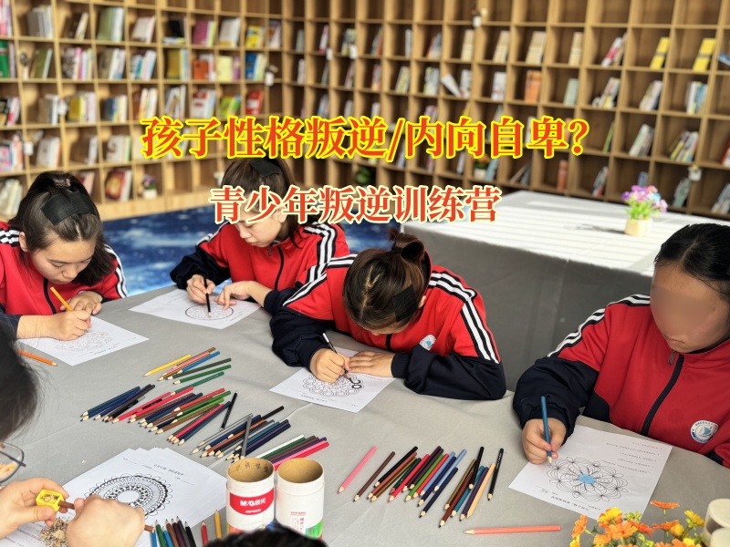 青少年叛逆训练营打破内向枷锁