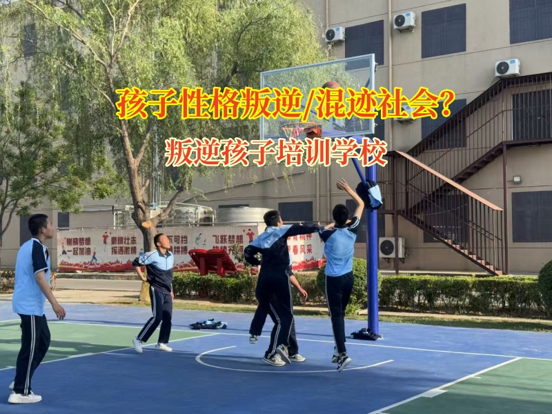 叛逆孩子培训学校助力宅家少年重归精彩