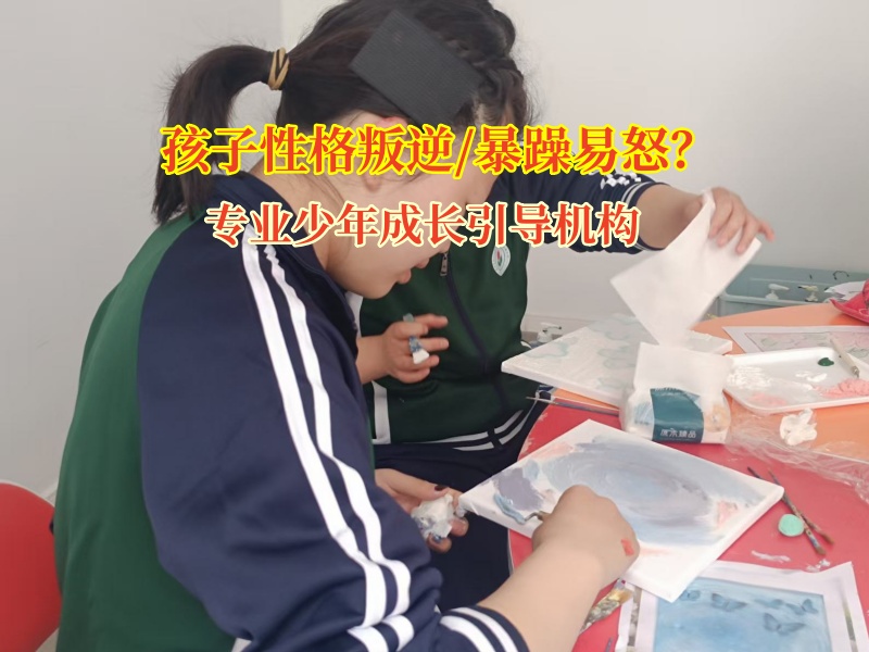 专业少年成长引导机构助力易怒少年走出情绪迷雾