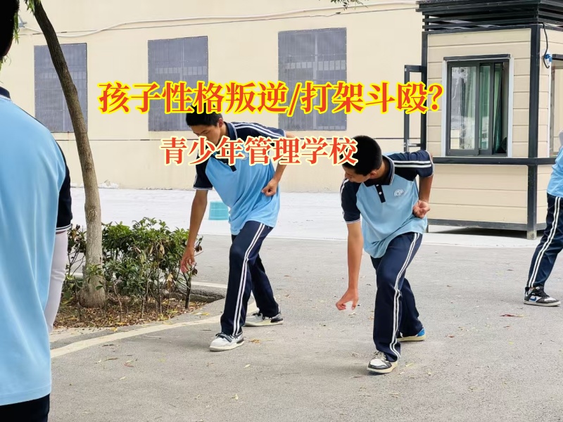 青少年管理学校应对孩子打架难题