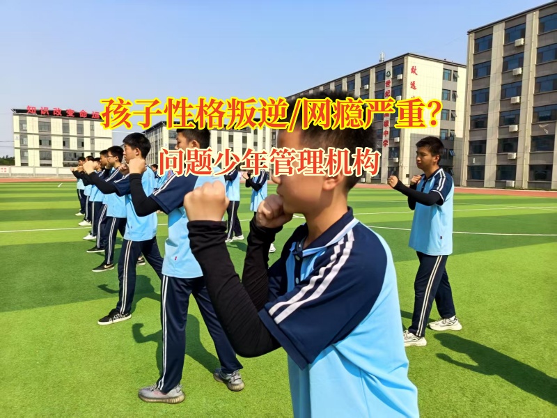 问题少年管理机构助力初中孩子走向独立