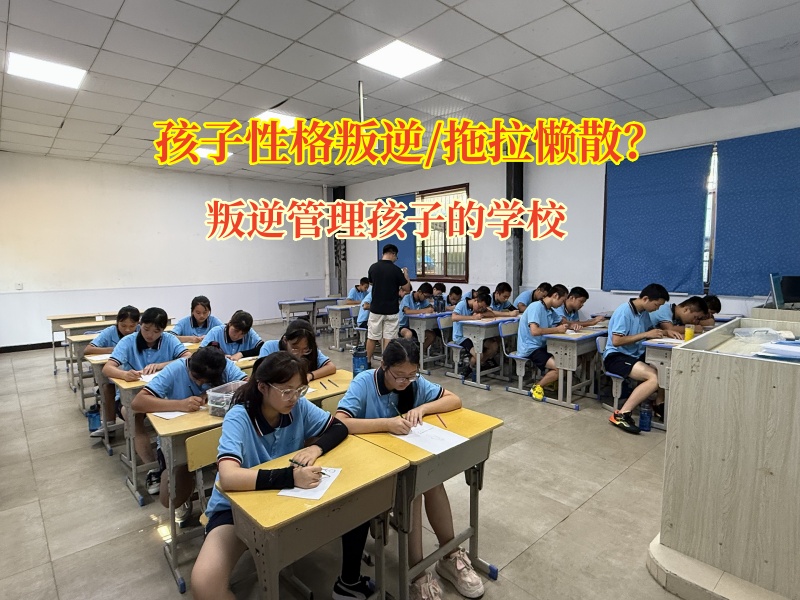 叛逆管理孩子的学校矫正孩子告别拖延