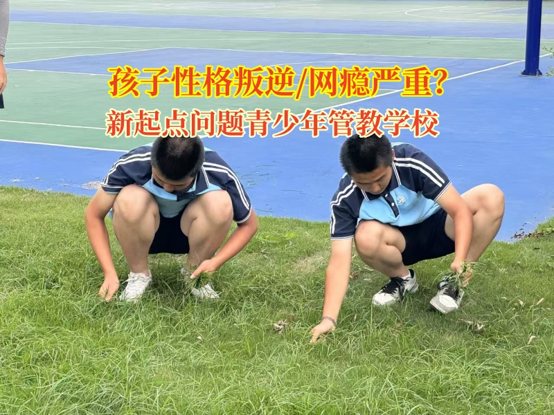 新起点问题青少年管教学校帮孩子戒网瘾