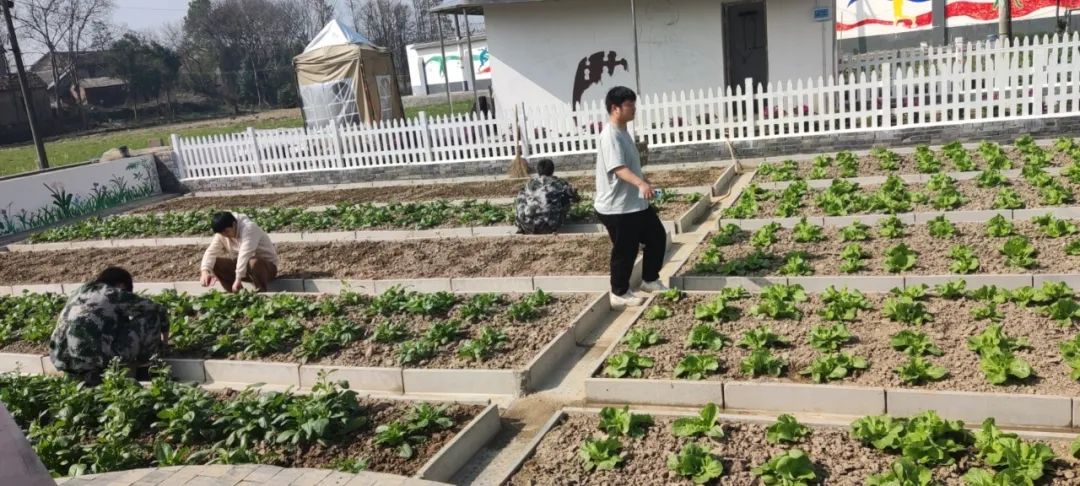 新起点青少年特训学校:传承雷锋精神 弘扬榜样力量